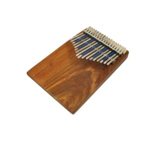 Hugh Tracey Celeste Treble + PU