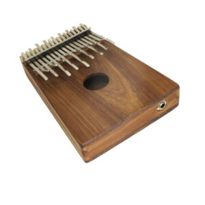 SaReGaMa Box Lotus Karimba + PU