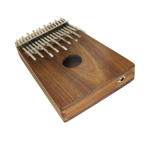 SaReGaMa Box Lotus Karimba + PU