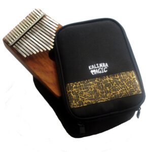 Treble Sized Soft-shell Case