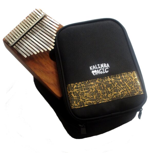 Treble Sized Soft-shell Case