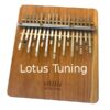 Hokema B17 Kalimba - 4 Hokema Kalimbas, 5 The 17-Note